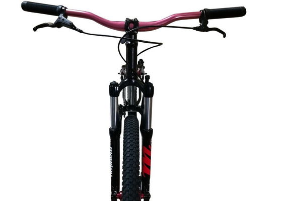 26 Inch Dirt Jump Hardtail Cross Country Bike Chromoly Frame Suspension Fork